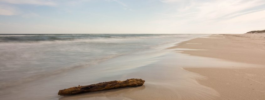 Baumstumpf am Strand - Sandhammaren