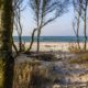 Zingst an der Ostsee