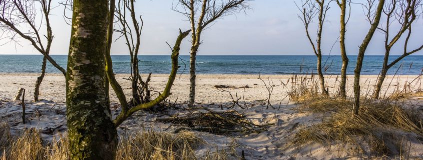 Zingst an der Ostsee