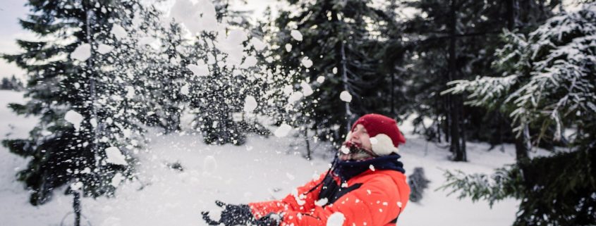 Harz im Winter