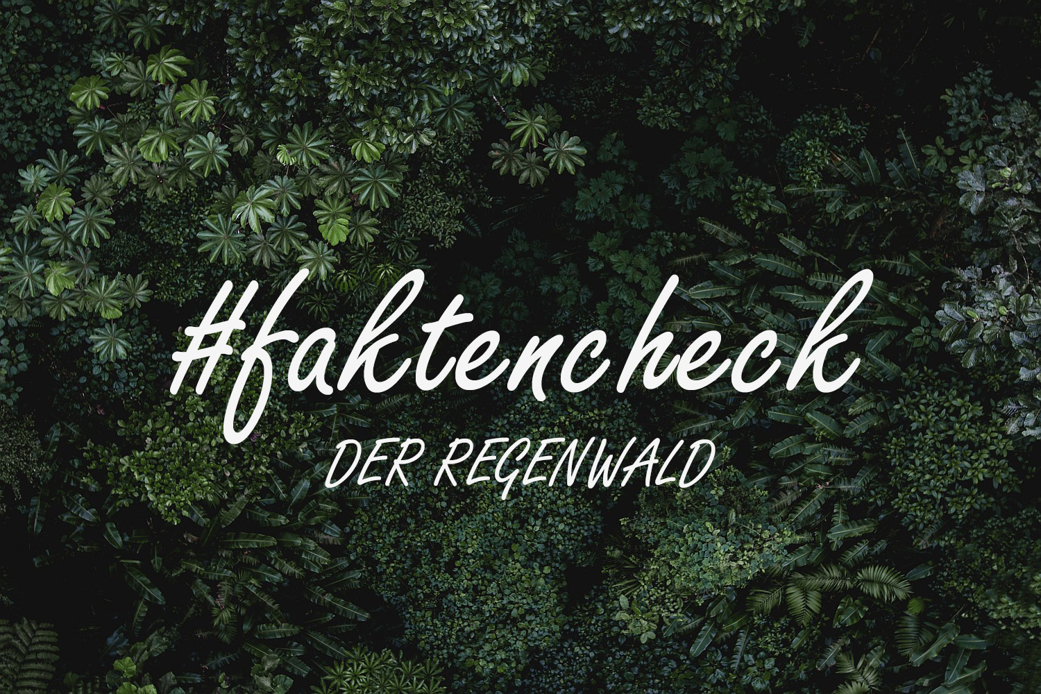 #faktencheck - Der Regenwald