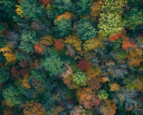 Vermont im Herbst