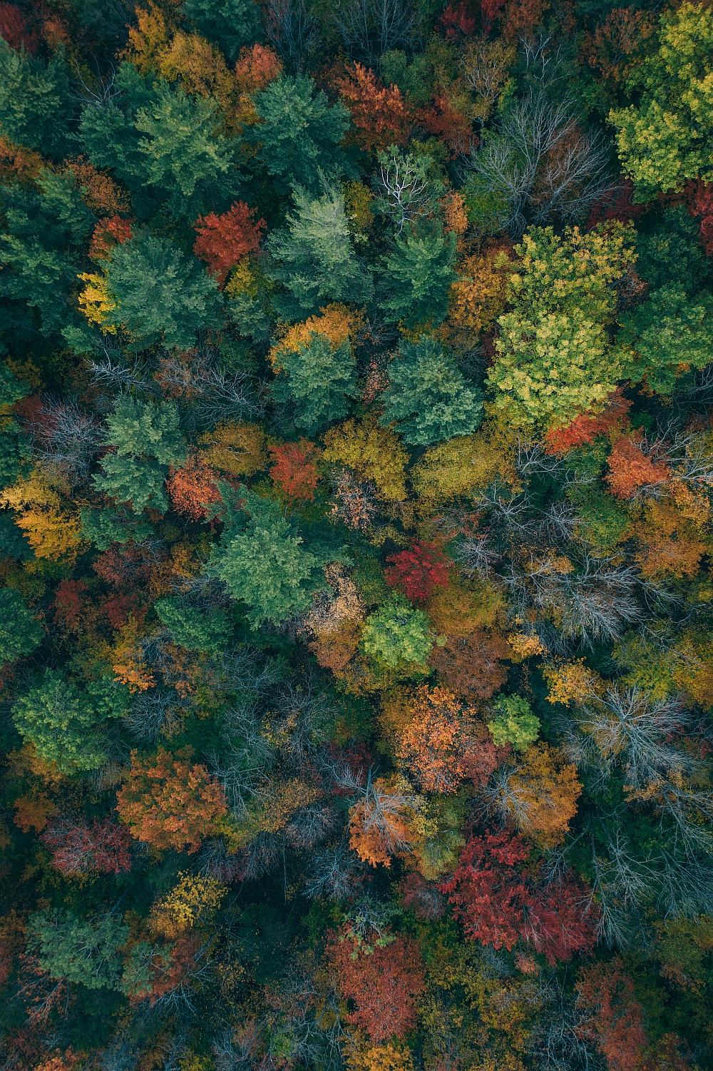 Vermont im Herbst