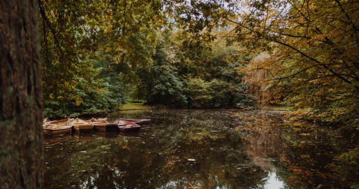 Boote im Herbst im Bremer Bürgerpark