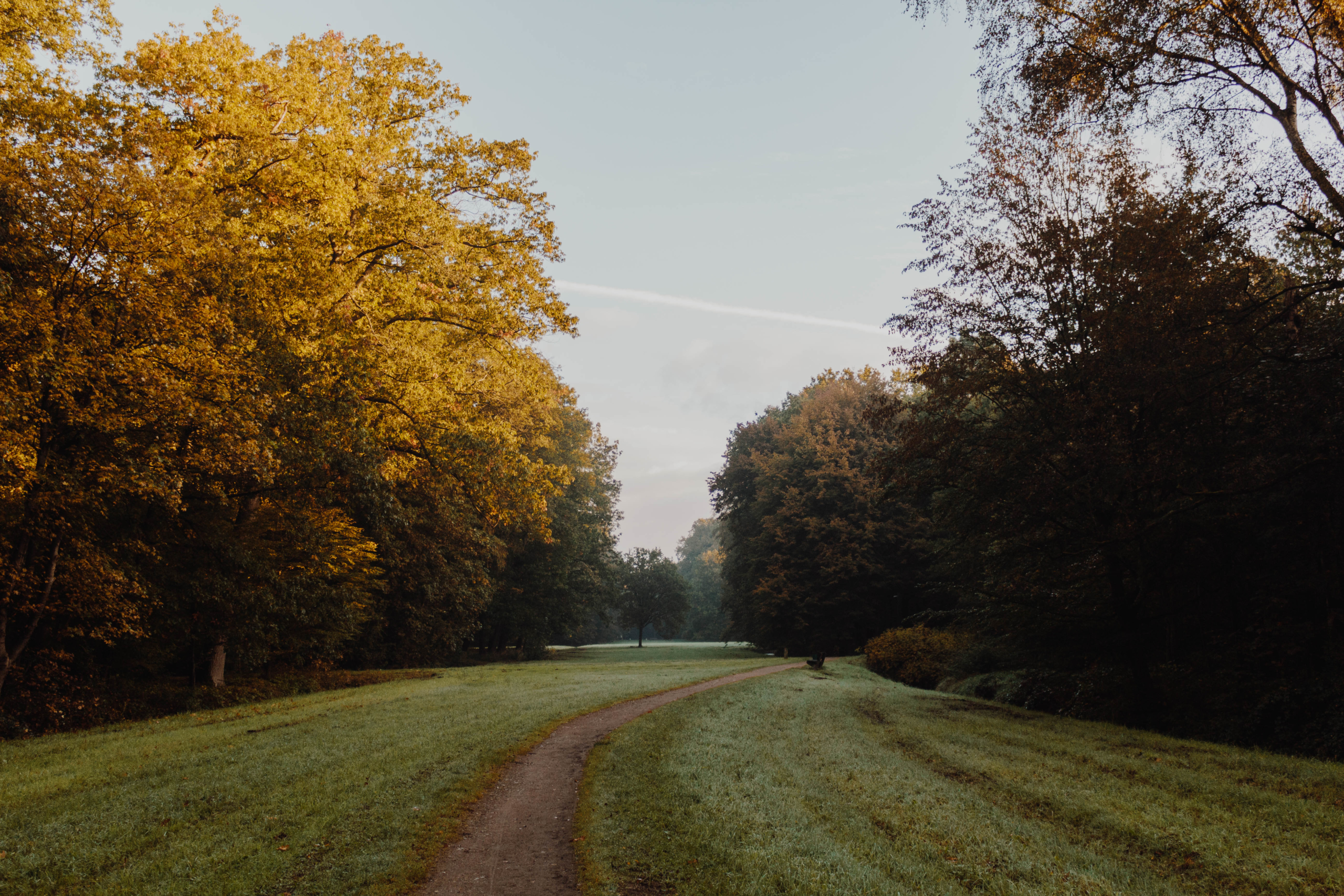 Ein früher Herbstmorgen im Bremer Stadtwald